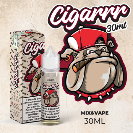 ENJOYSVAPO MIX&VAPE CIGARRR 30 ML